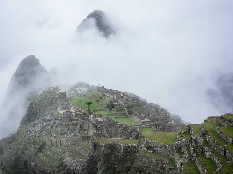 partners screenshot 5